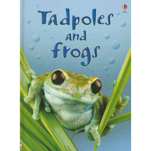 Usborne Beginners Nature – 10 Book Collection Set: Ants, Bugs, Spiders, Trees & More - Usborne