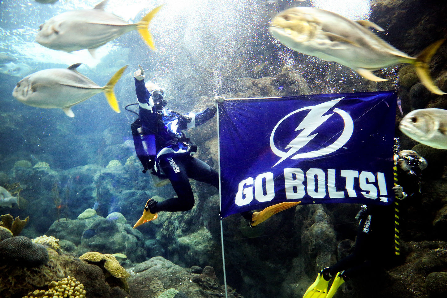 THUNDERSTRUCK: The Tampa Bay Lightning’s 2020 Stanley Cup Championship Season