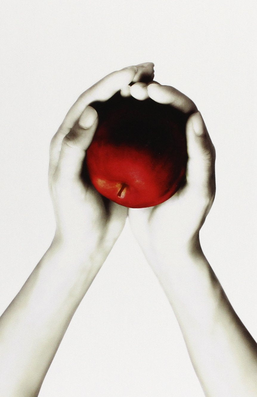 The Twilight Saga White Collection - By Stephanie Meyer - Paperback
