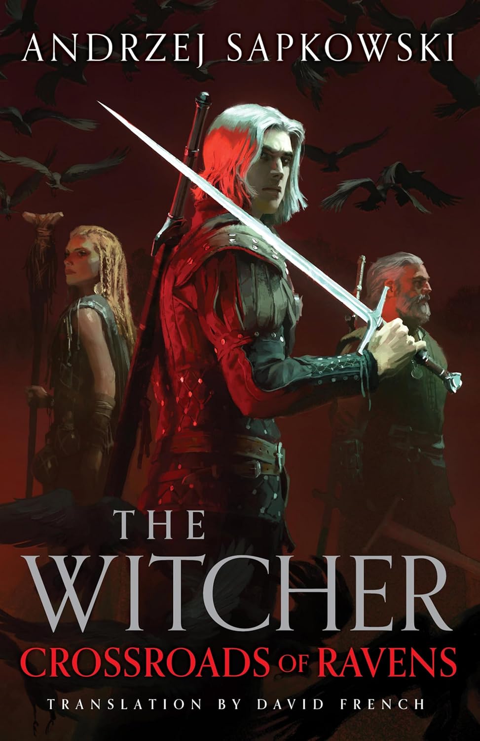 The Witcher – Complete 9-Book Hardcover Collection