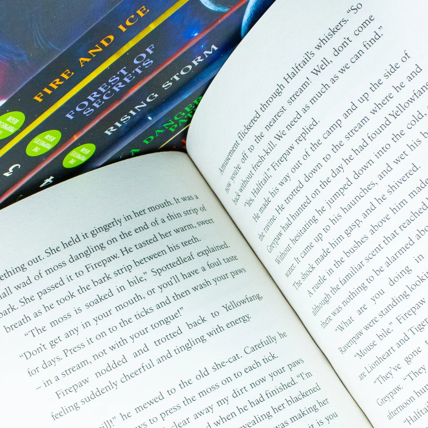 Warrior Cats Series 1 The Prophecies Begin 6 Book Collection Set - Erin Hunter - Paperback