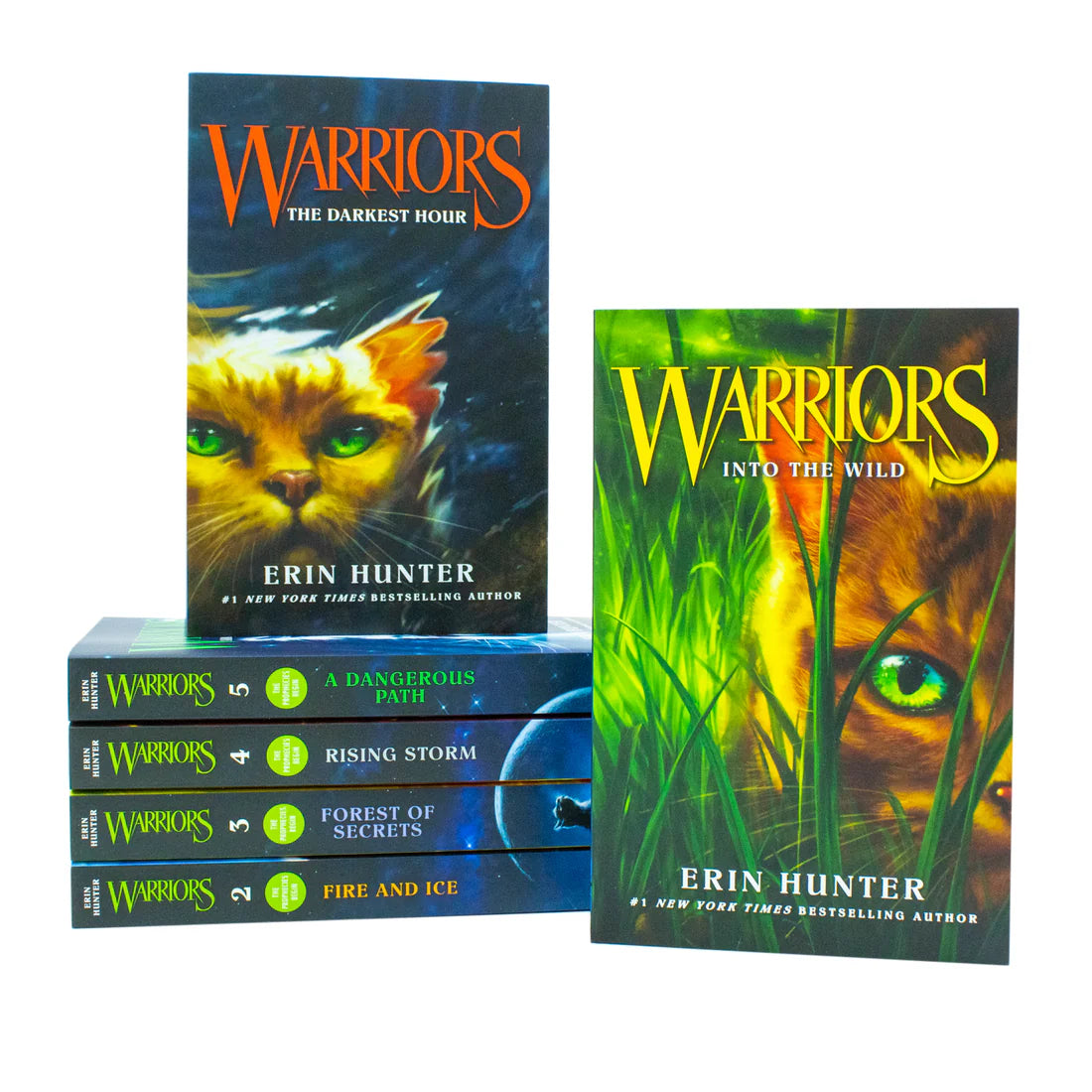Erin Hunter warriors collection 1-6 Books set: Into the wild, Fire and ice, etc by Erin Hunter - Paperback