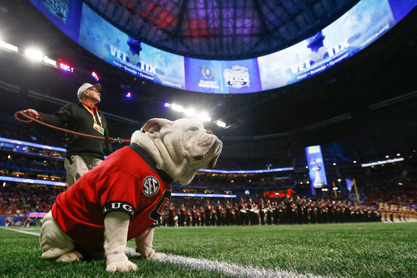 Glorious: Georgia Secures Its Second Consecutive National Title with a Perfect Season