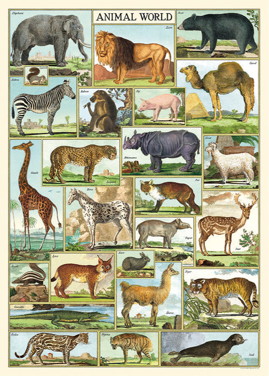 Animal World Scientific Chart