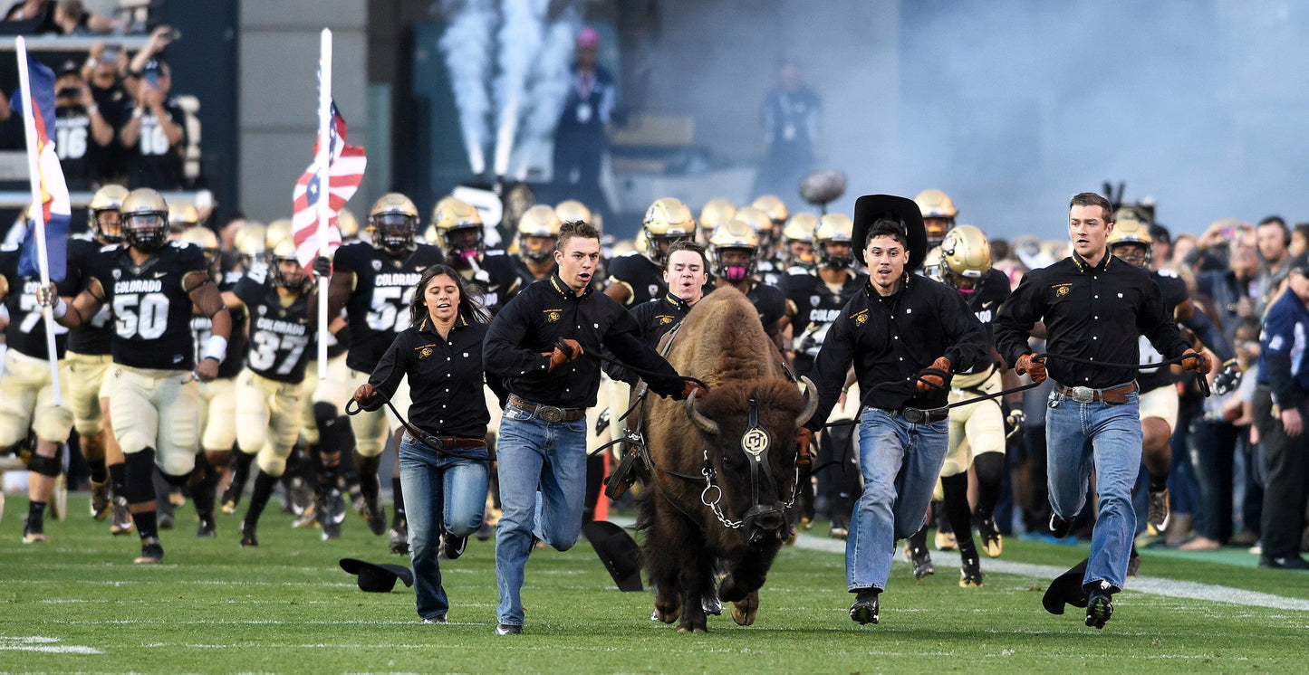 The Rise: The University of Colorado Buffaloes' Historic Turnaround Season