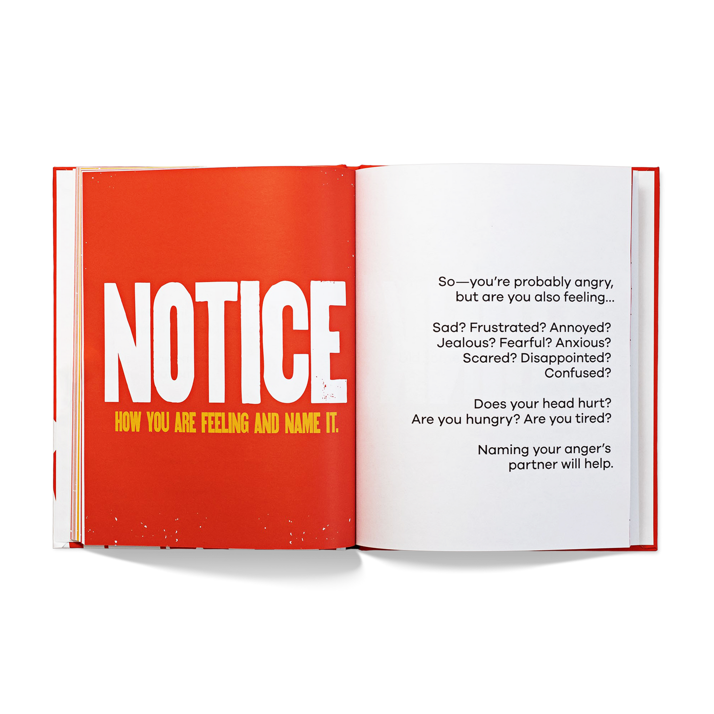 A Kids Book About Anger - Fabian Ramirez - Hardcover