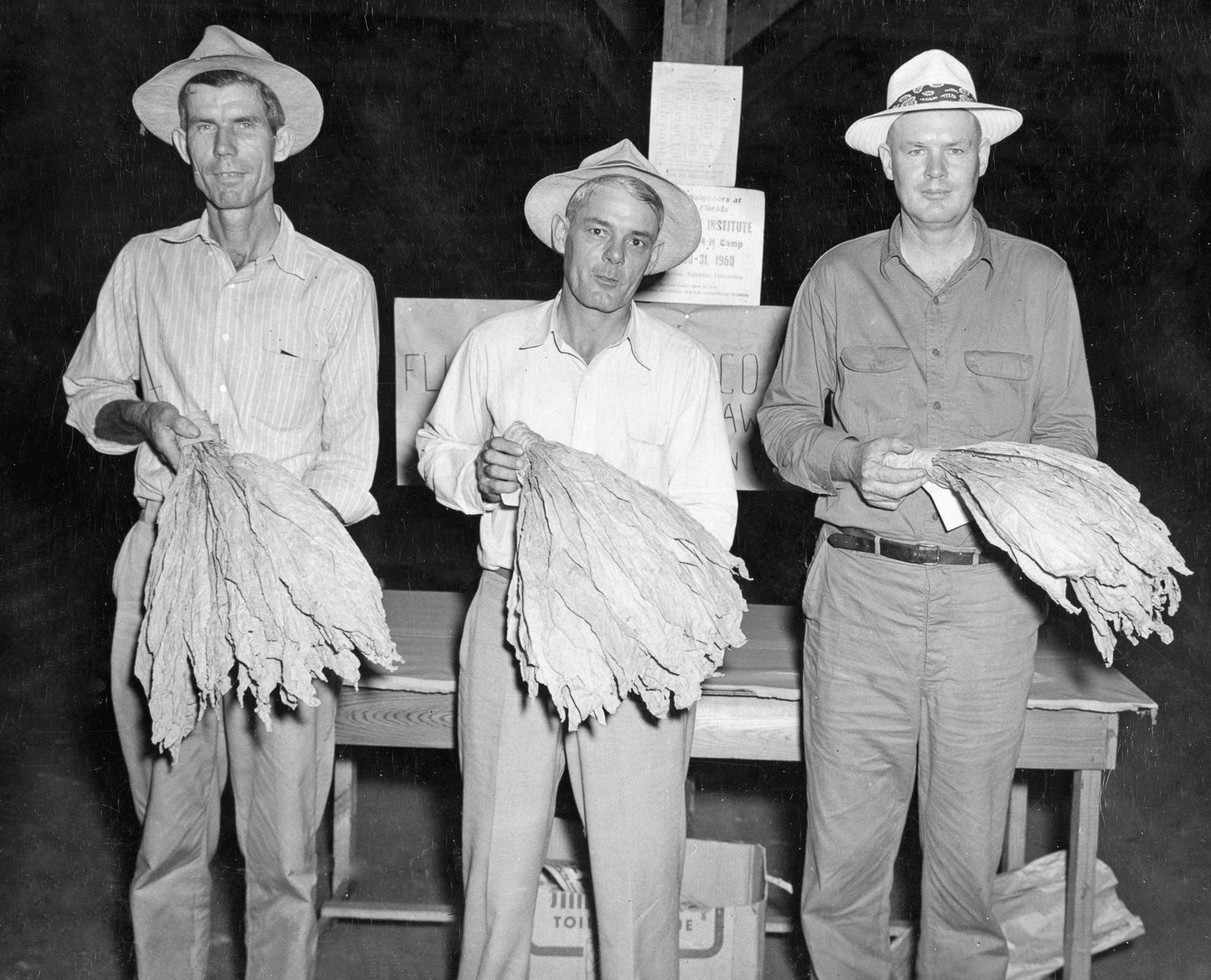 Old Florida Memories: A Photo Retrospective of Greater Columbia County, Florida