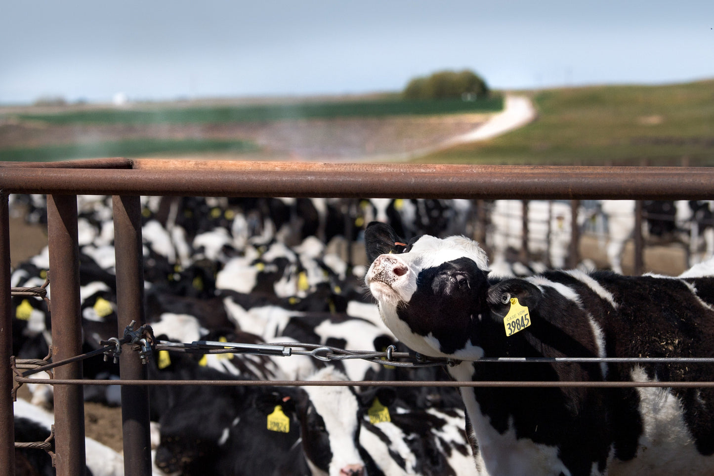 A Year in the Fields: The State of the Washington Farmer