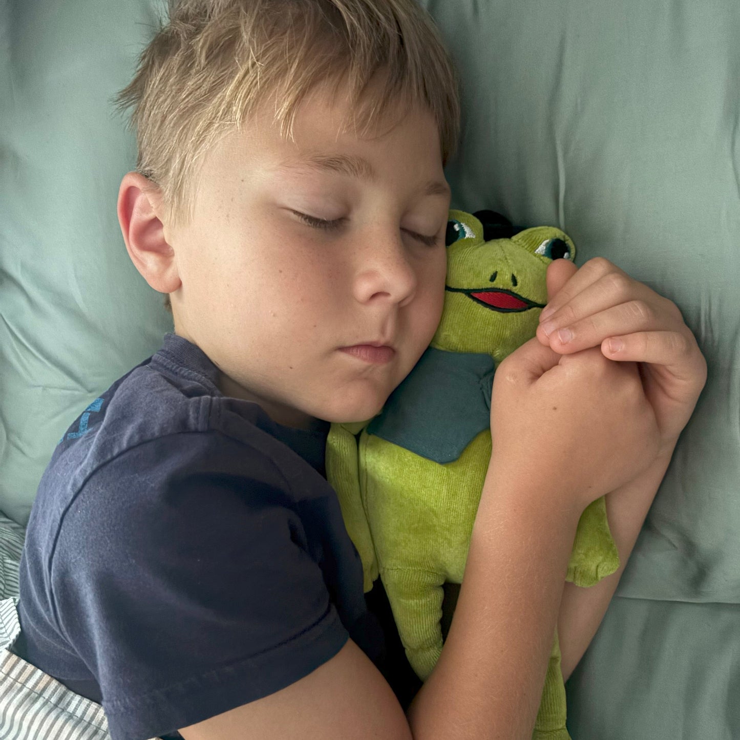 Frog: Finds His Courage, Book Two & Organic Cotton Frog Plushie