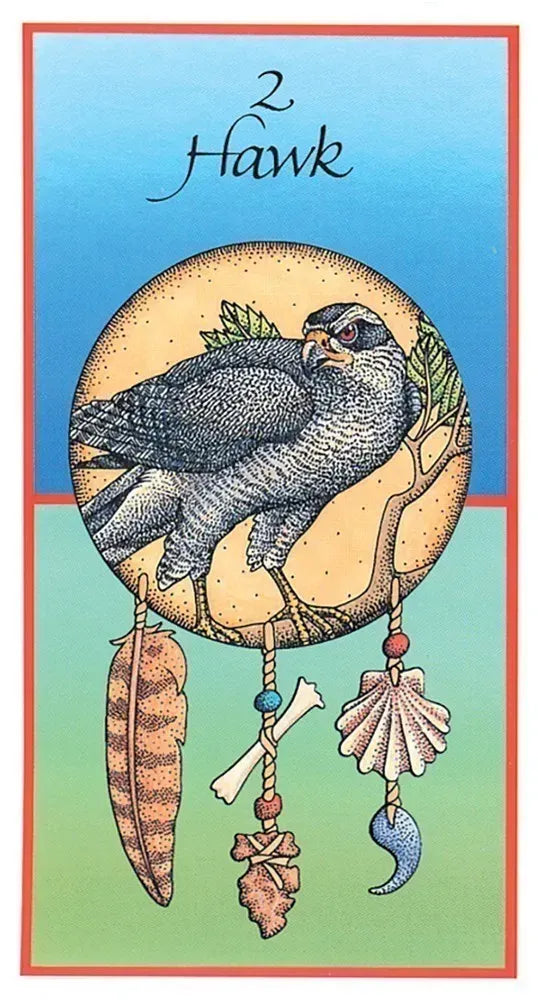 Animal Medicine Bundle: Medicine Cards Deck/Book Set: The Discovery of Power Through the Ways of Animals - And Animal Speak Book