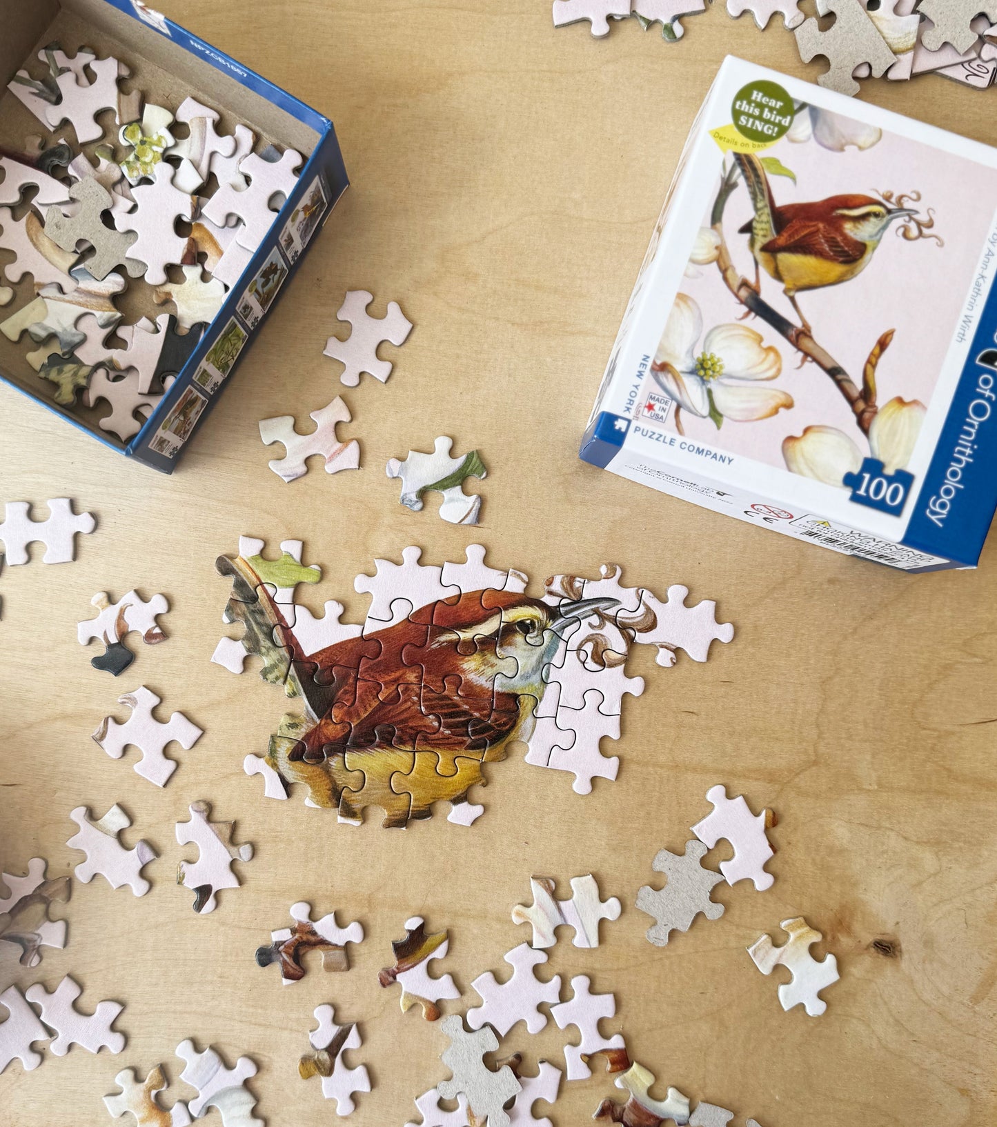 Carolina Wren Mini