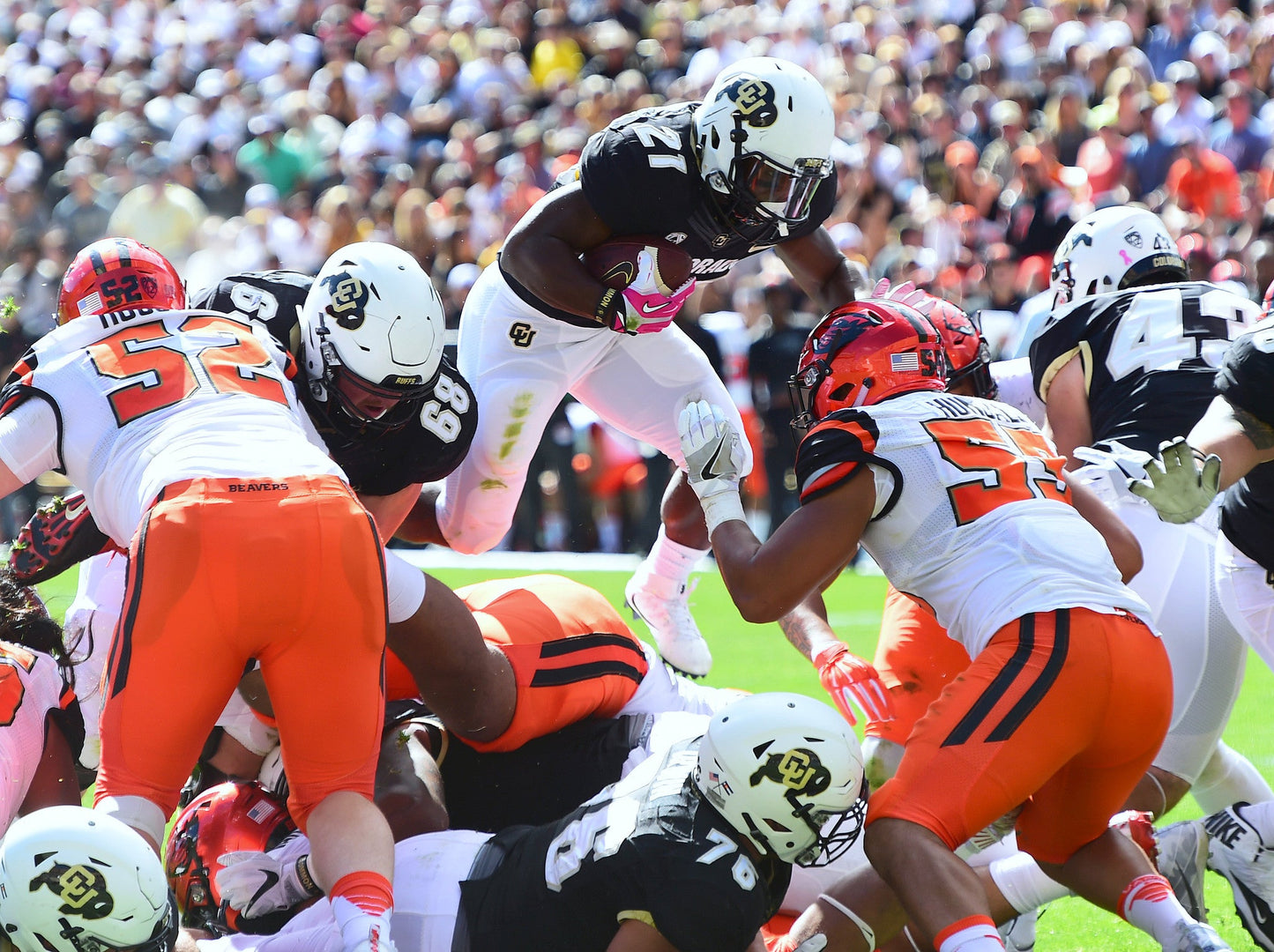 The Rise: The University of Colorado Buffaloes' Historic Turnaround Season