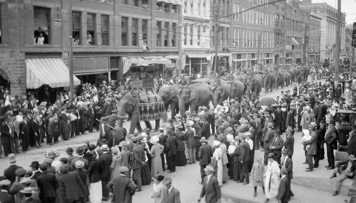 A Pictorial History: Looking Back: Otsego, Delaware, Chenango and Schoharie Counties of Upstate New York