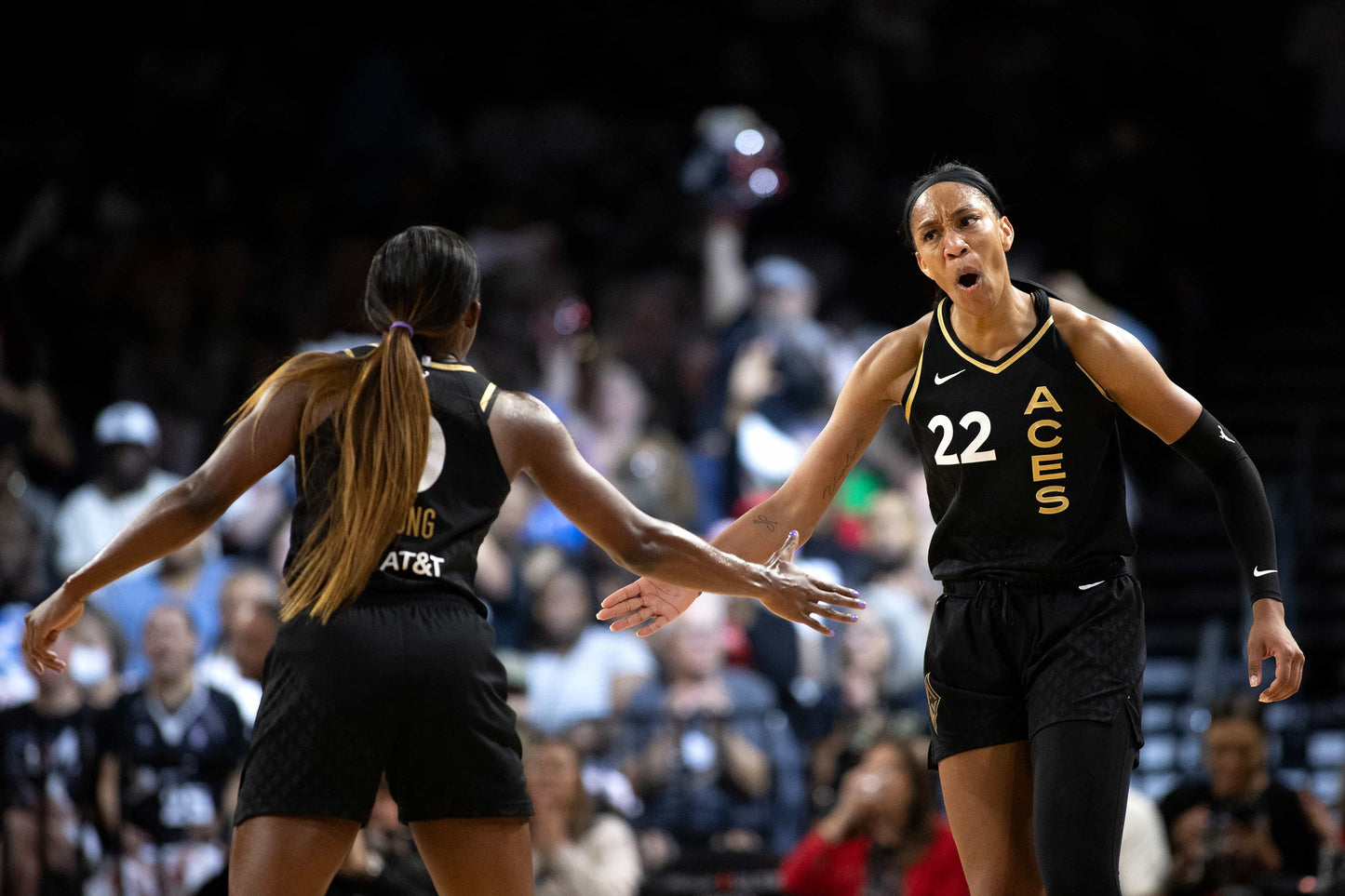 DOUBLE DOWN: How the Las Vegas Aces Won Back-to-Back Championships and Became the Greatest WNBA Team in History