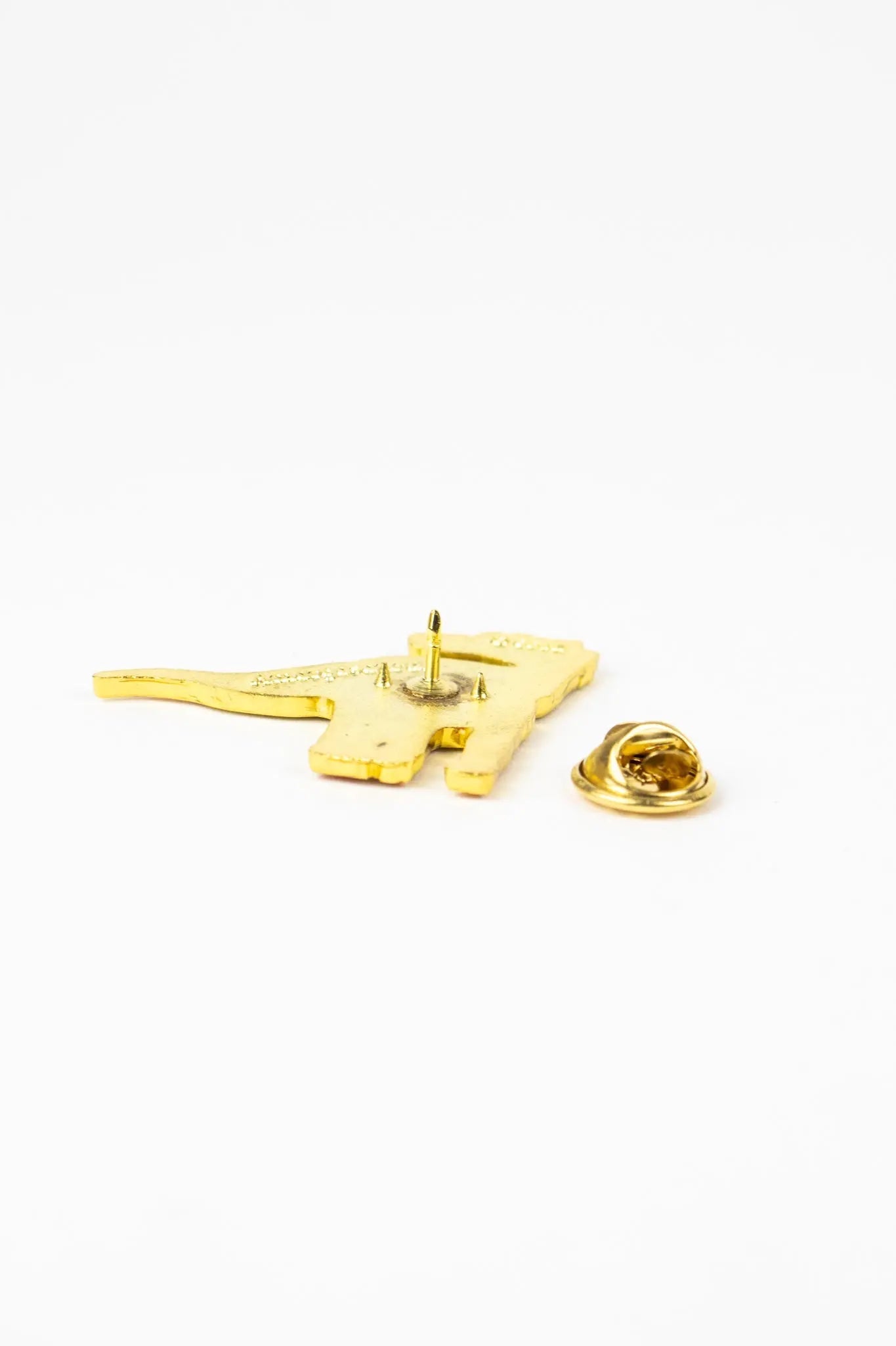 Amargasaurus Pin