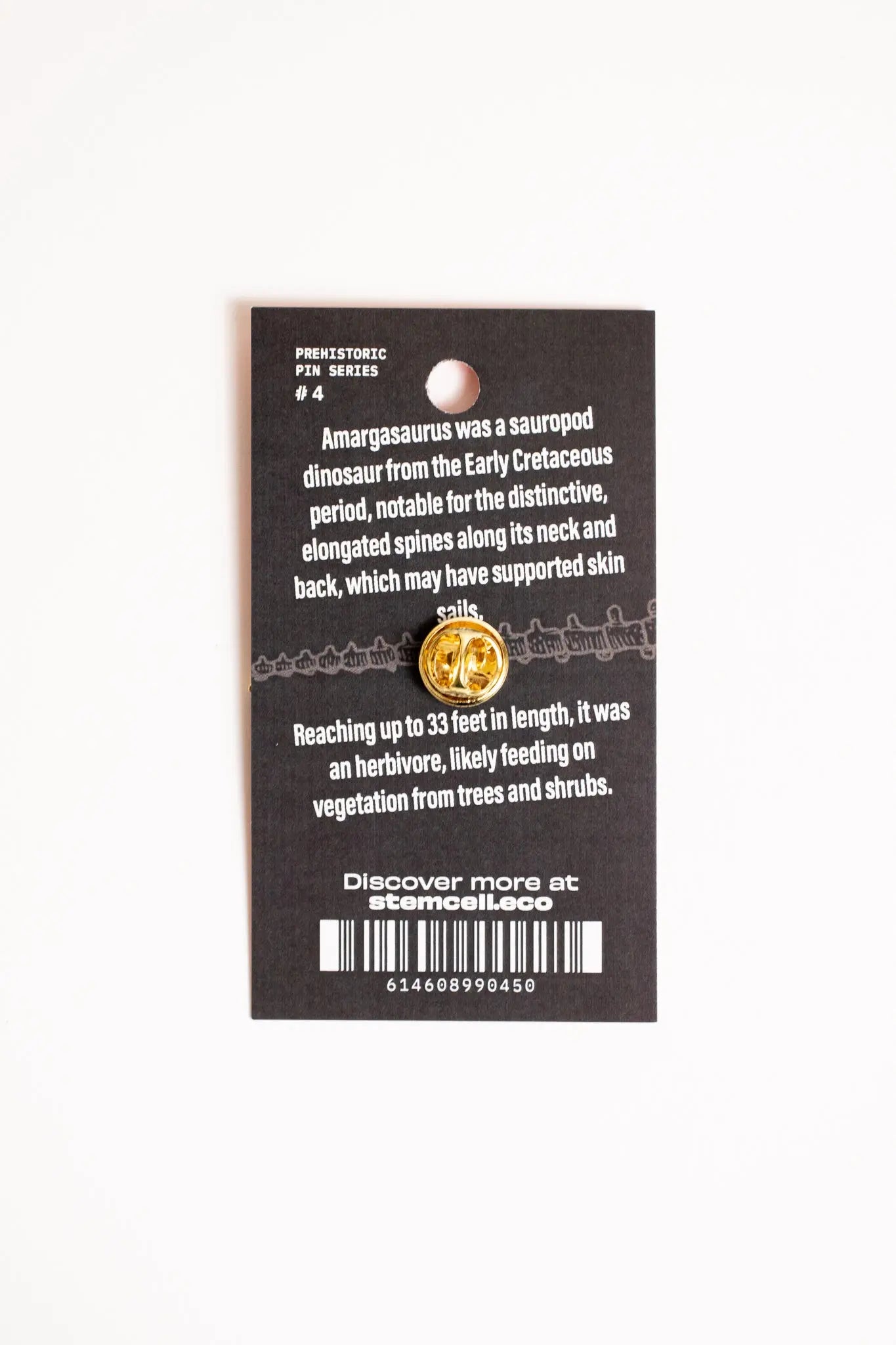 Amargasaurus Pin