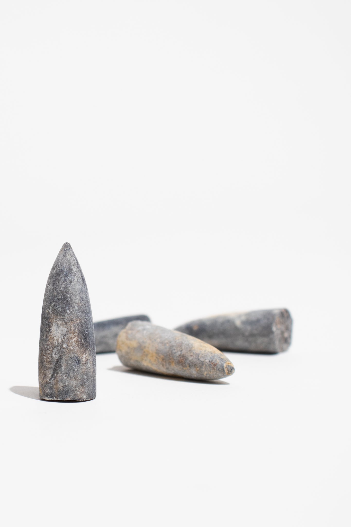 Belemnite Fossil