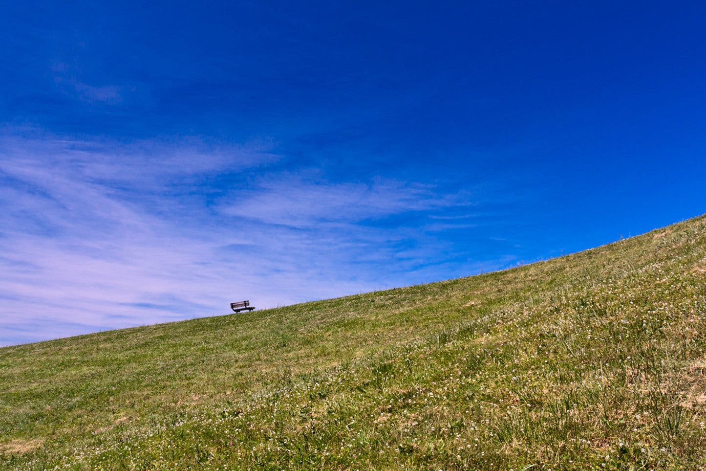 Capture Cincinnati IV: The Best of the Greater Cincinnati area in Photography