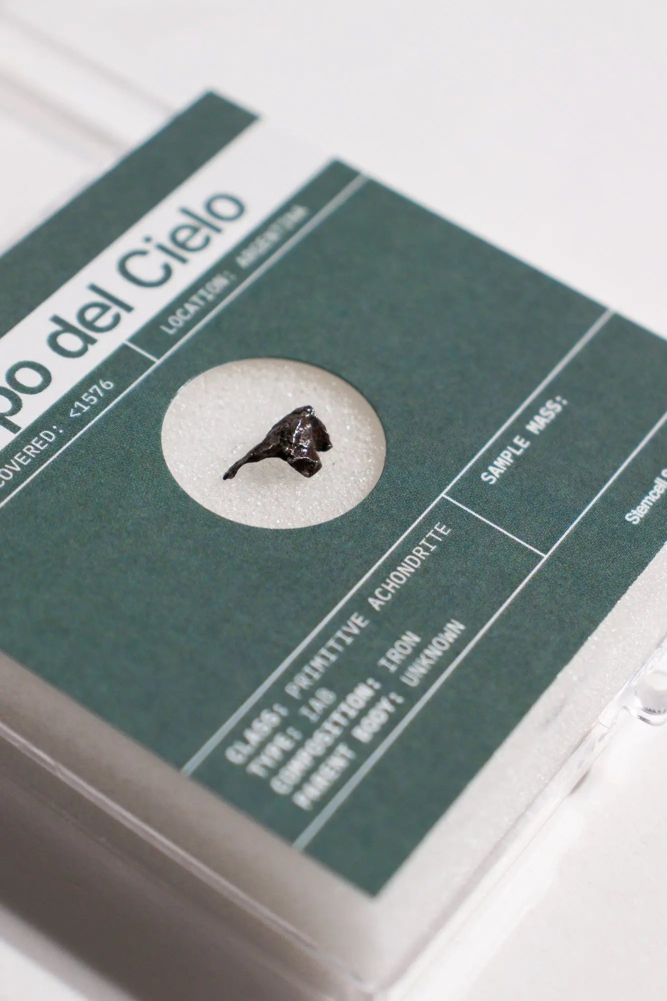 Campo del Cielo Meteorite