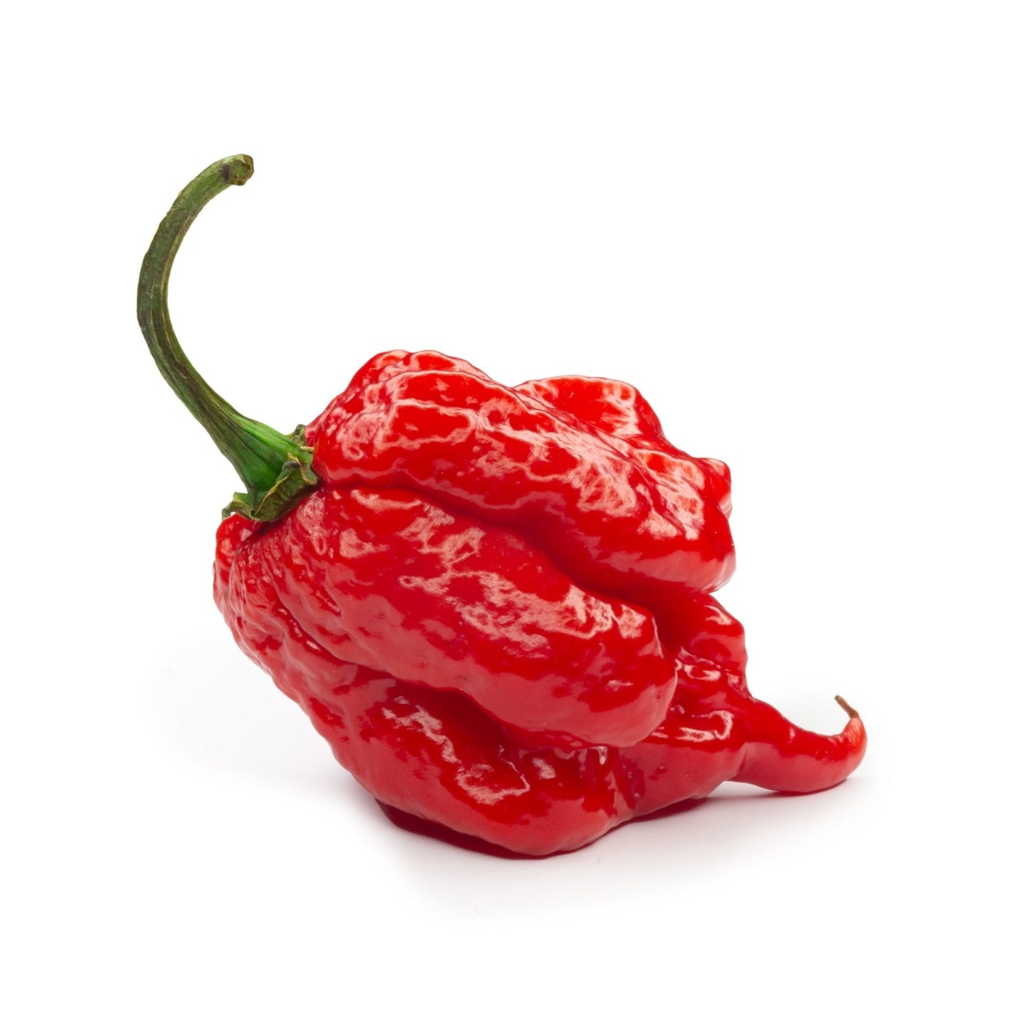 Carolina Reaper Seeds