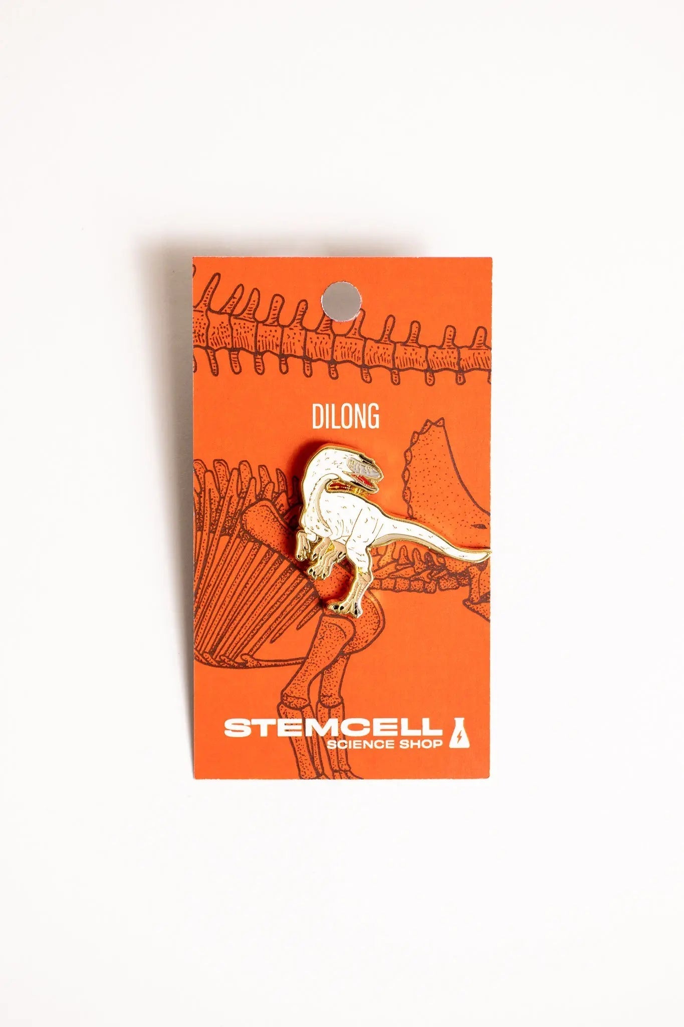 Dilong Pin