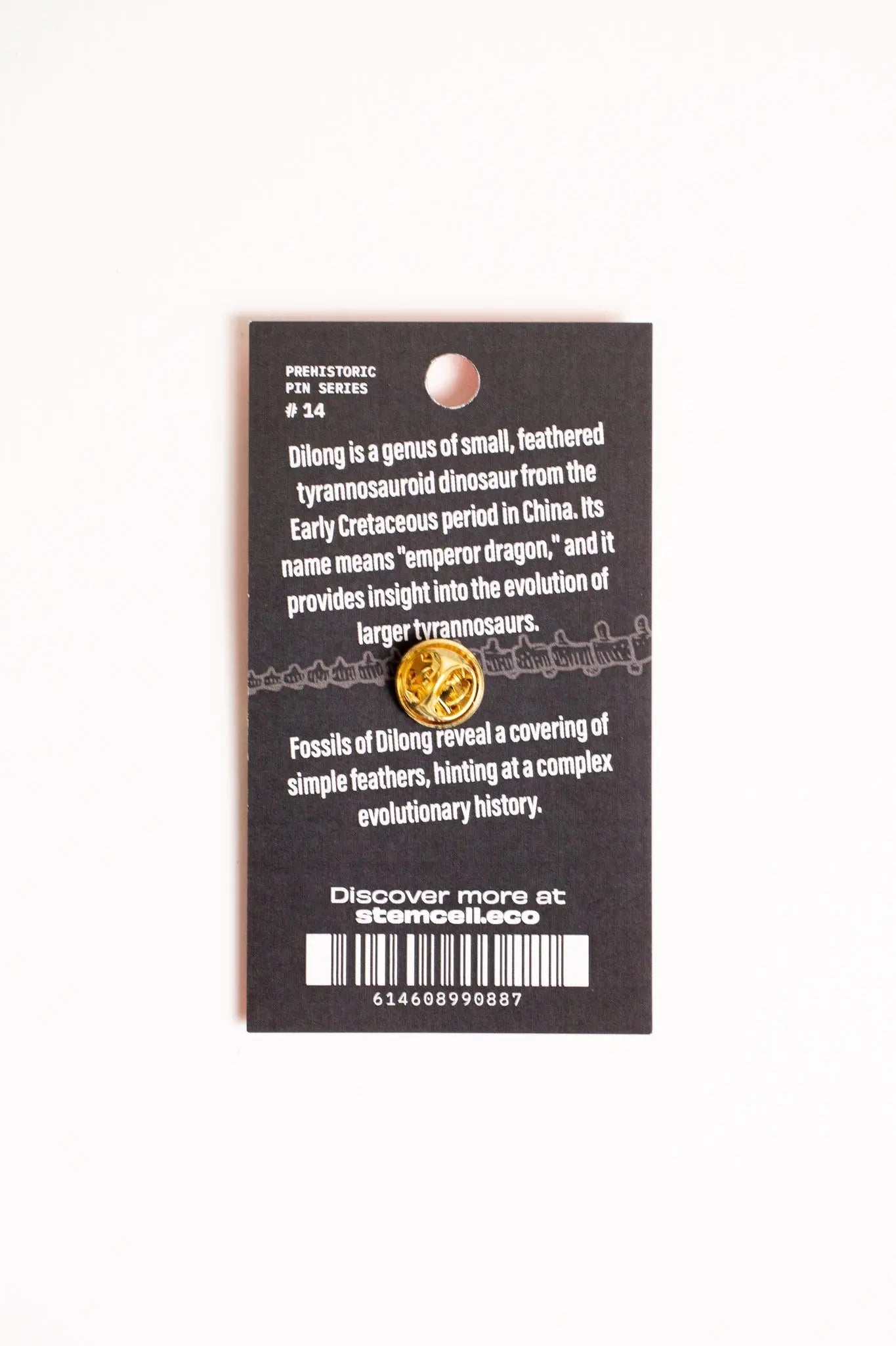 Dilong Pin