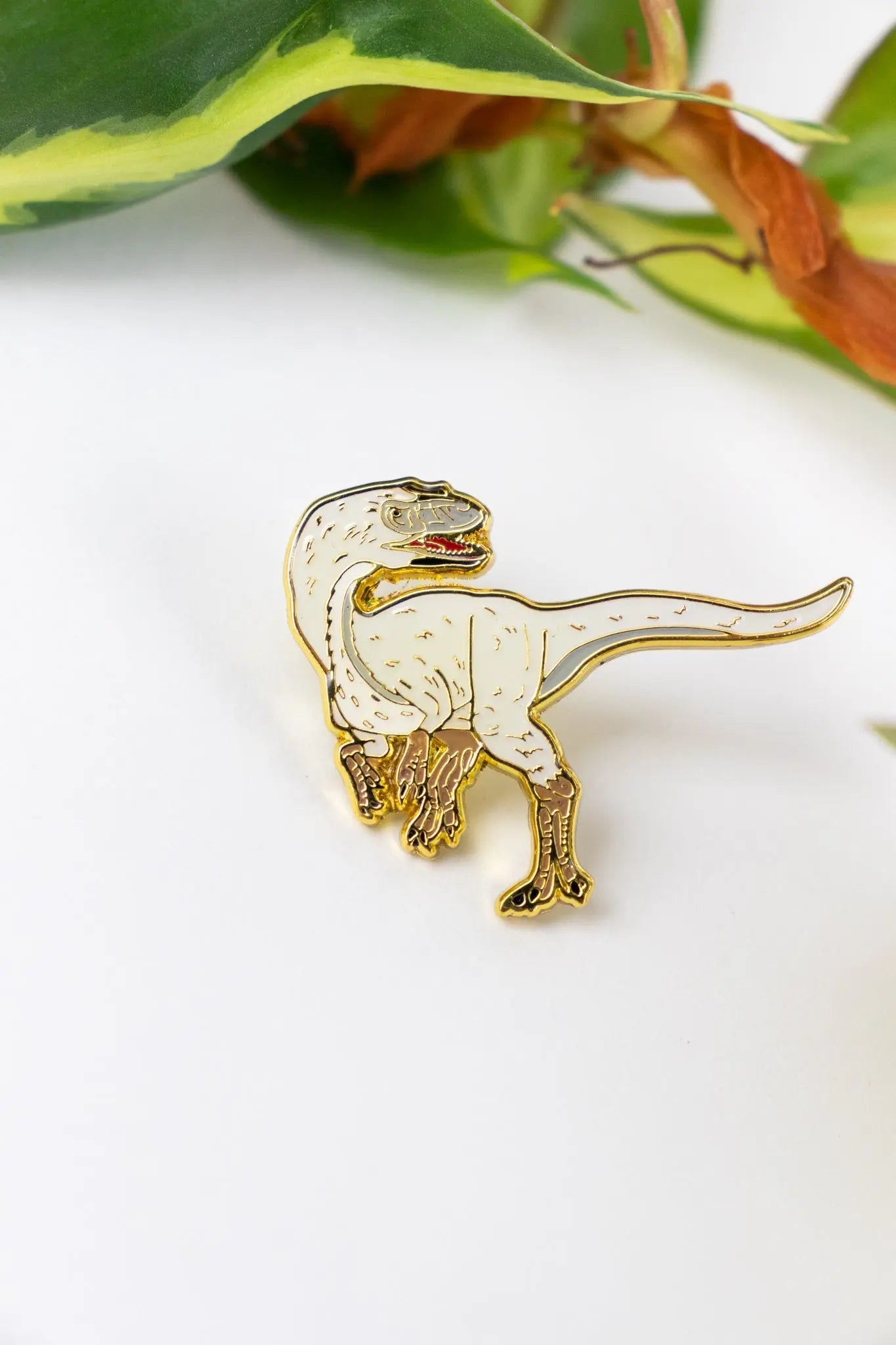 Dilong Pin