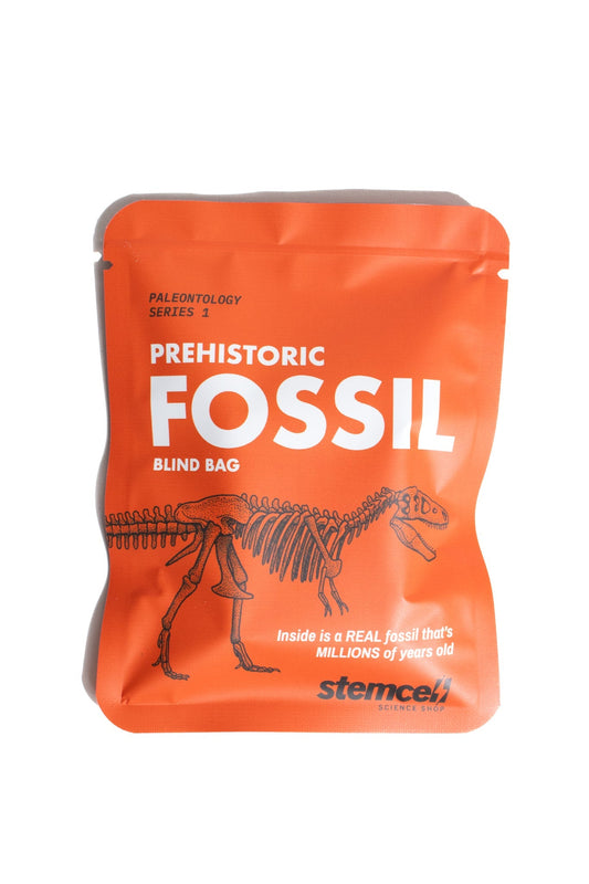 Fossil Blind Bag