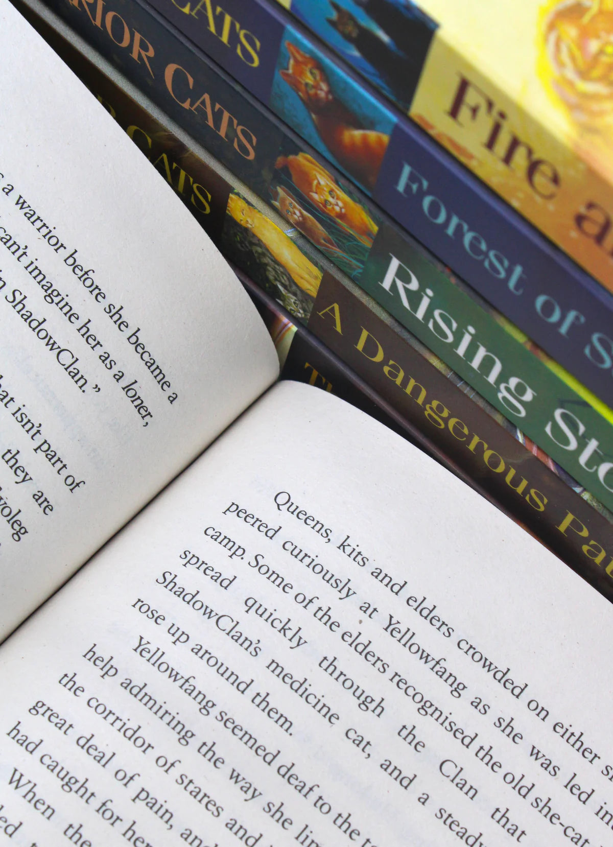 Warrior Cats Series 1 The Prophecies Begin 6 Book Collection Set - Erin Hunter - Paperback