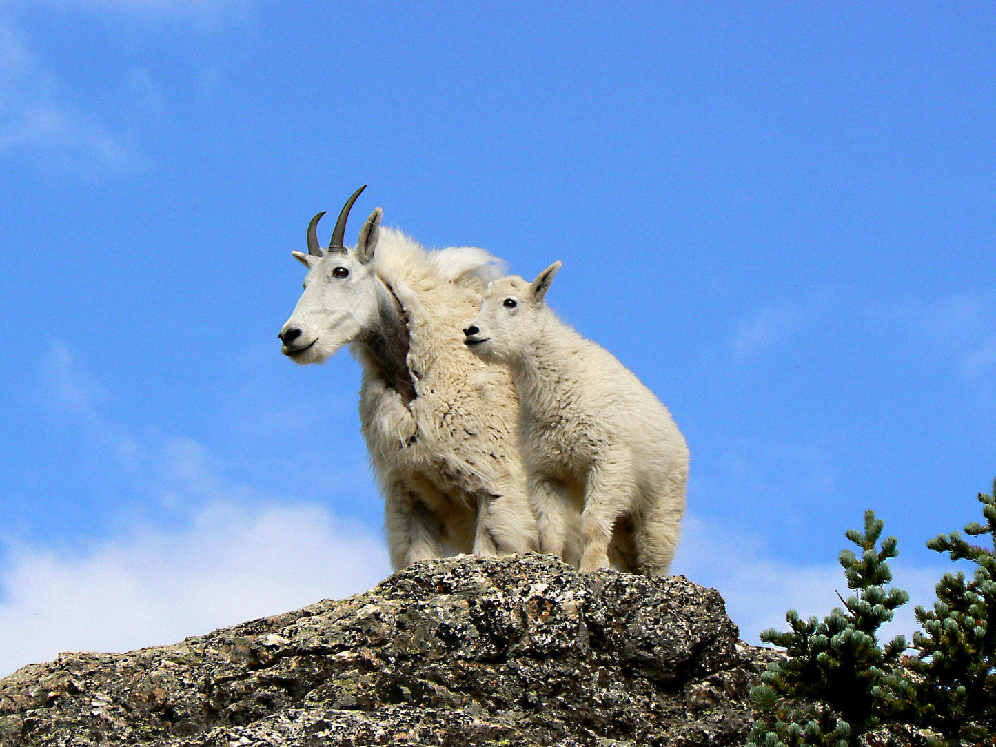 Capture My Colorado: Vail