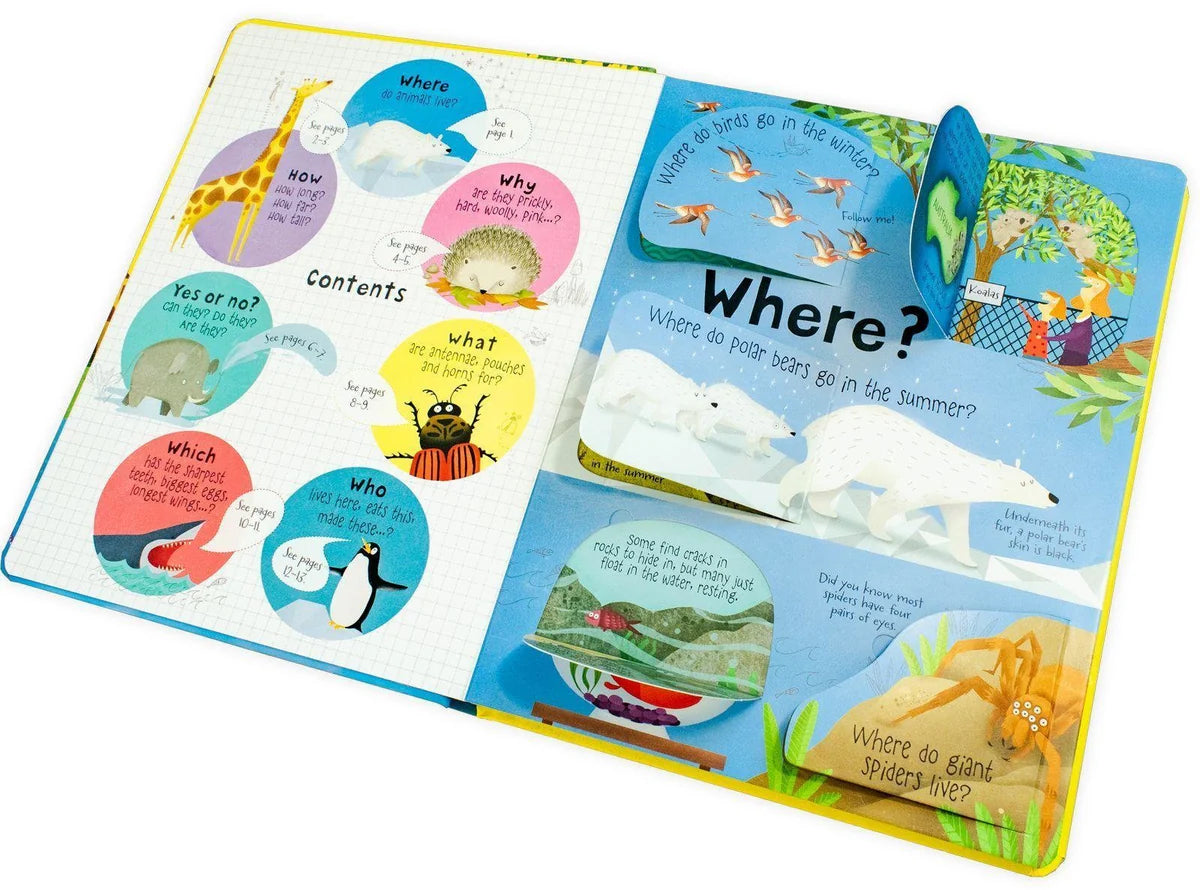 Usborne Lift-the-fFap Questions and Answers Collection 5 Books Box Set - Hardcover