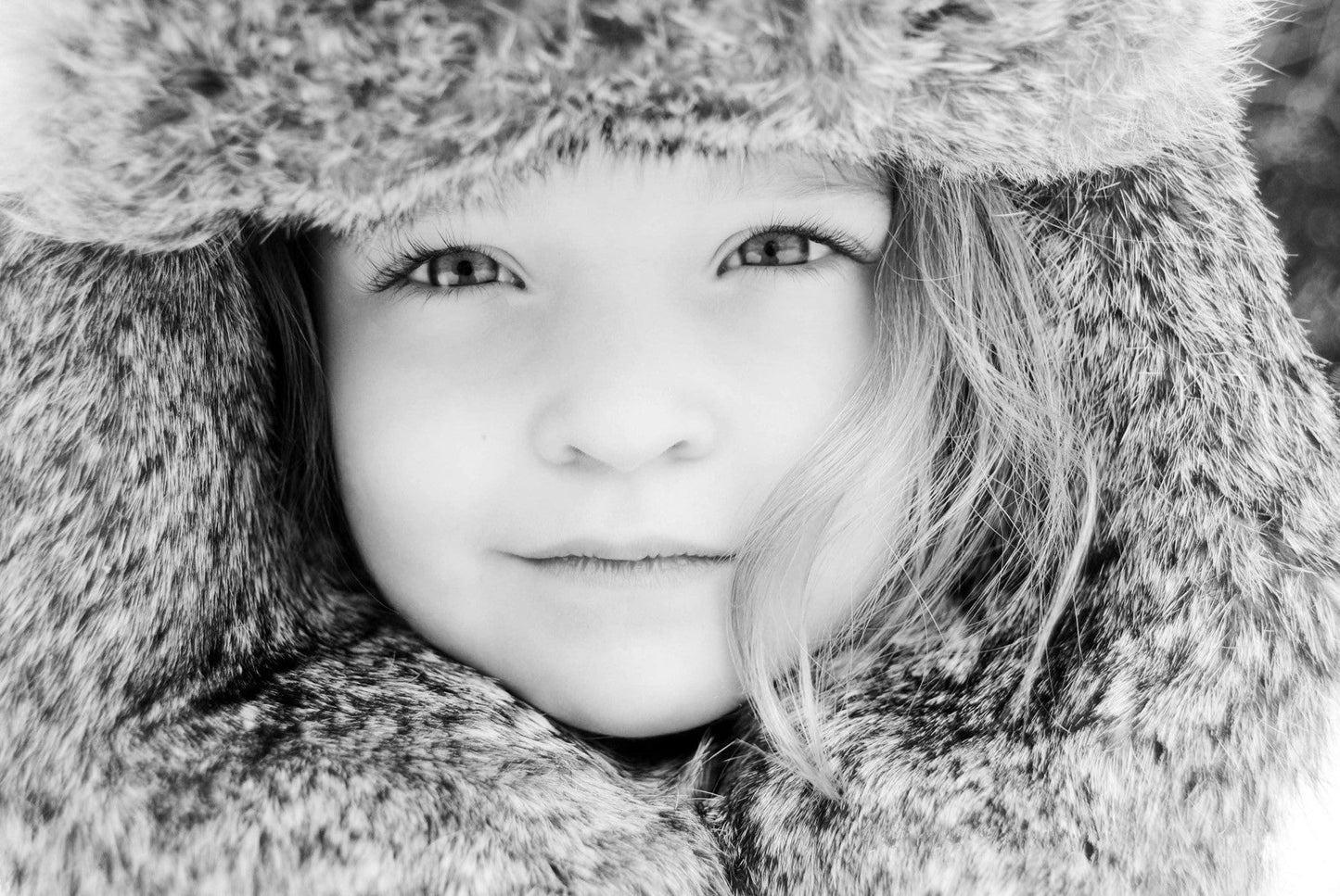 Capture Door County: The Best of Door County in Photography