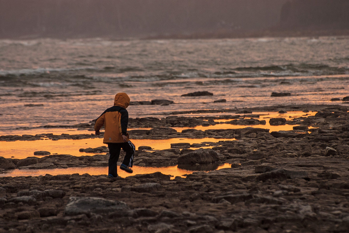 Capture Door County: The Best of Door County in Photography