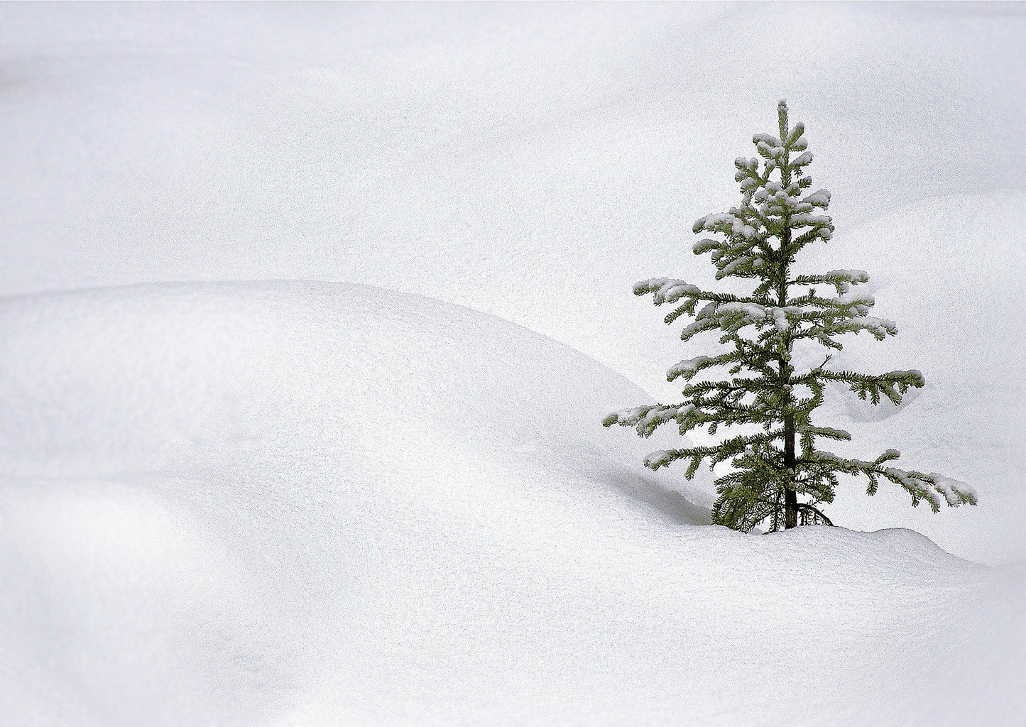 Capture Central Oregon