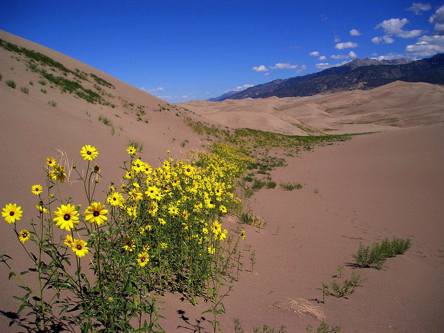 Capture My Colorado: Vail