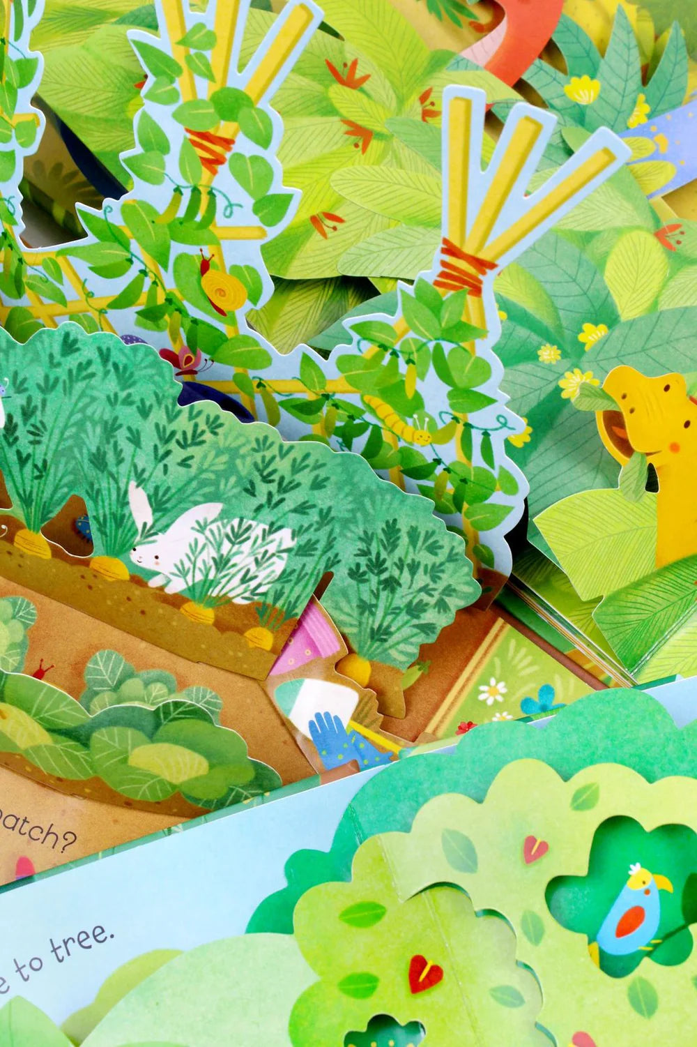 Usborne - Pop Up 3 Books Set Collection - by Fiona Watts - Jungle, Garden, Dinosaurs...