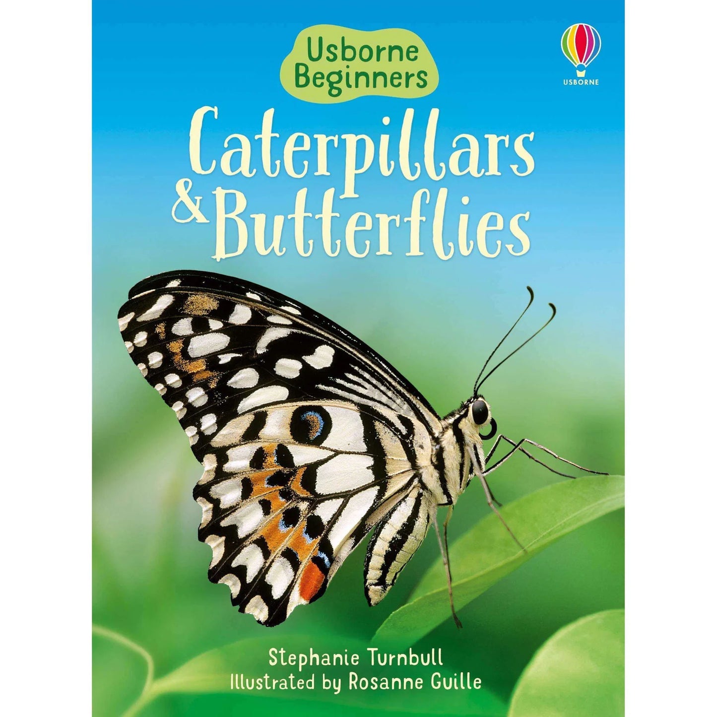 Usborne Beginners Nature – 10 Book Collection Set: Ants, Bugs, Spiders, Trees & More - Usborne