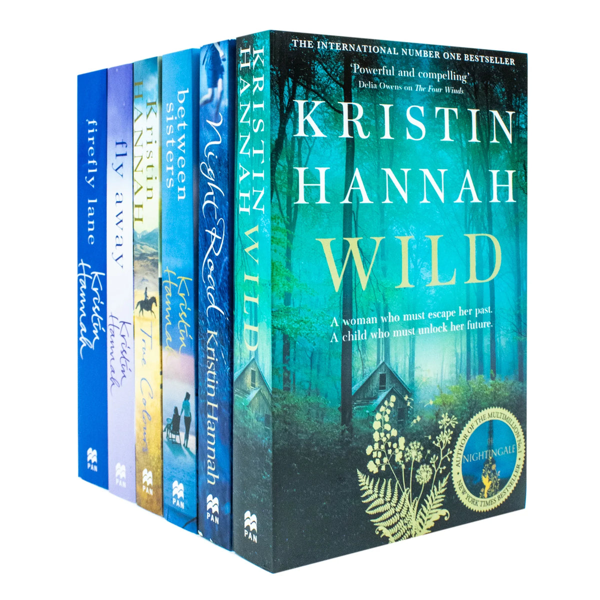 Kristin Hannah Collection – 6 Book Set: Firefly Lane, Wild, Night Road & More - By Kristin Hannah - Paperback