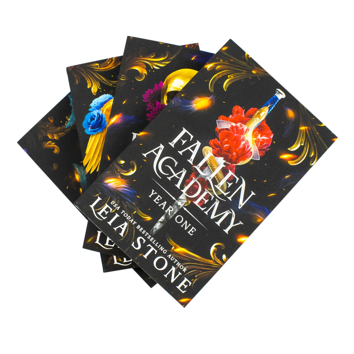 Fallen Academy Series – Complete 4 Book Collection: Year One, Year Two, Year Three & Year Four - By Leia Stone - Paperback