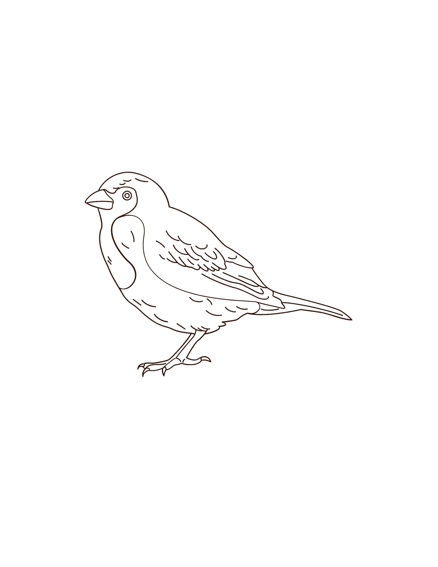 Art Prompt Kit- Birds