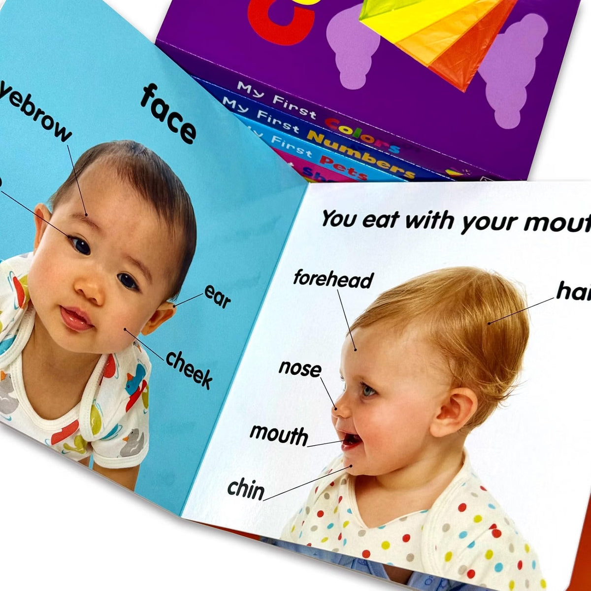 DK My First Learning Library – 6 Book Box Set: My First Body, Colors, Numbers & More - By DK - Board Books