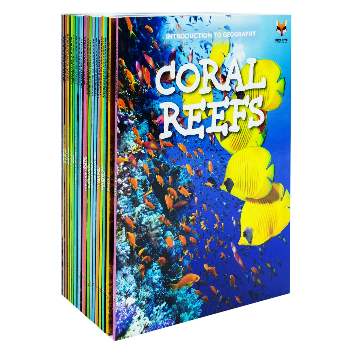Children's Introduction to Nature & Geography – 20 Book Box Set: Bears, Big Cats, Coral Reefs, Deserts & More - By Jasmine Brooke - Paperback