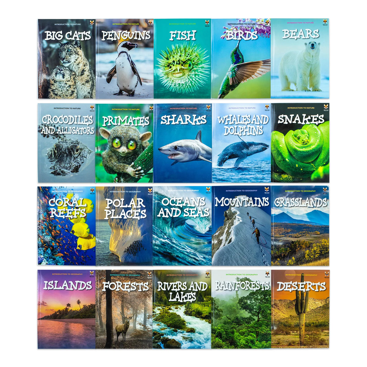 Children's Introduction to Nature & Geography – 20 Book Box Set: Bears, Big Cats, Coral Reefs, Deserts & More - By Jasmine Brooke - Paperback