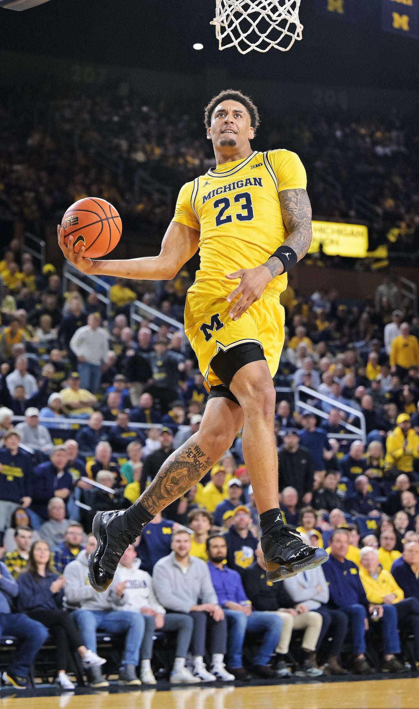 MAIZE THE ROOF: How the Michigan Wolverines Dominated College Basketball (Pediment)  - PREORDER ships 06/05/2026