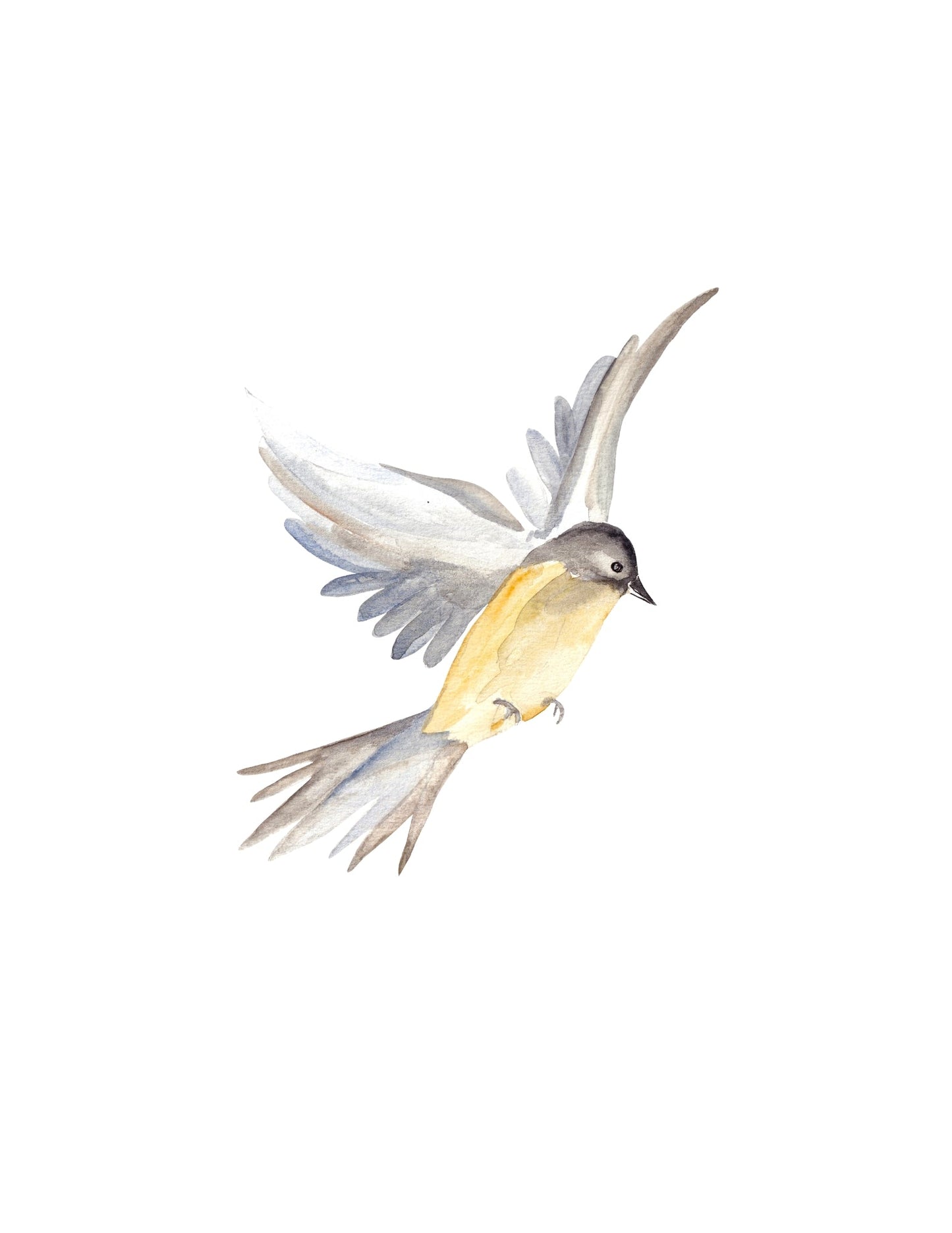 Art Prompt Kit- Birds