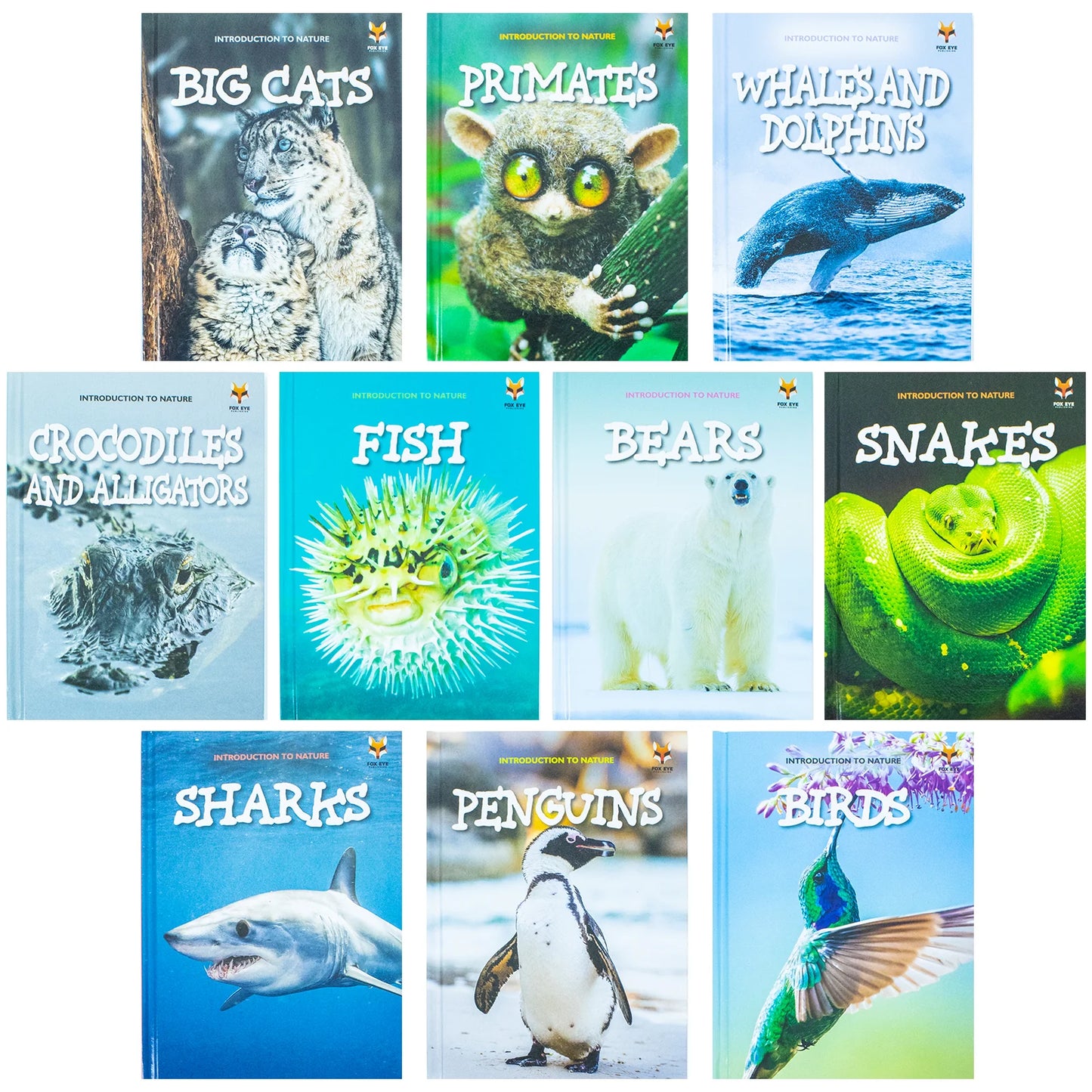 An Introduction to Nature for Beginners – 10 Hardback Book Collection Set: Bears, Big Cats, Birds, Crocodiles, Fish, Penguins, Primates, Sharks, Snakes, Whales & Dolphins