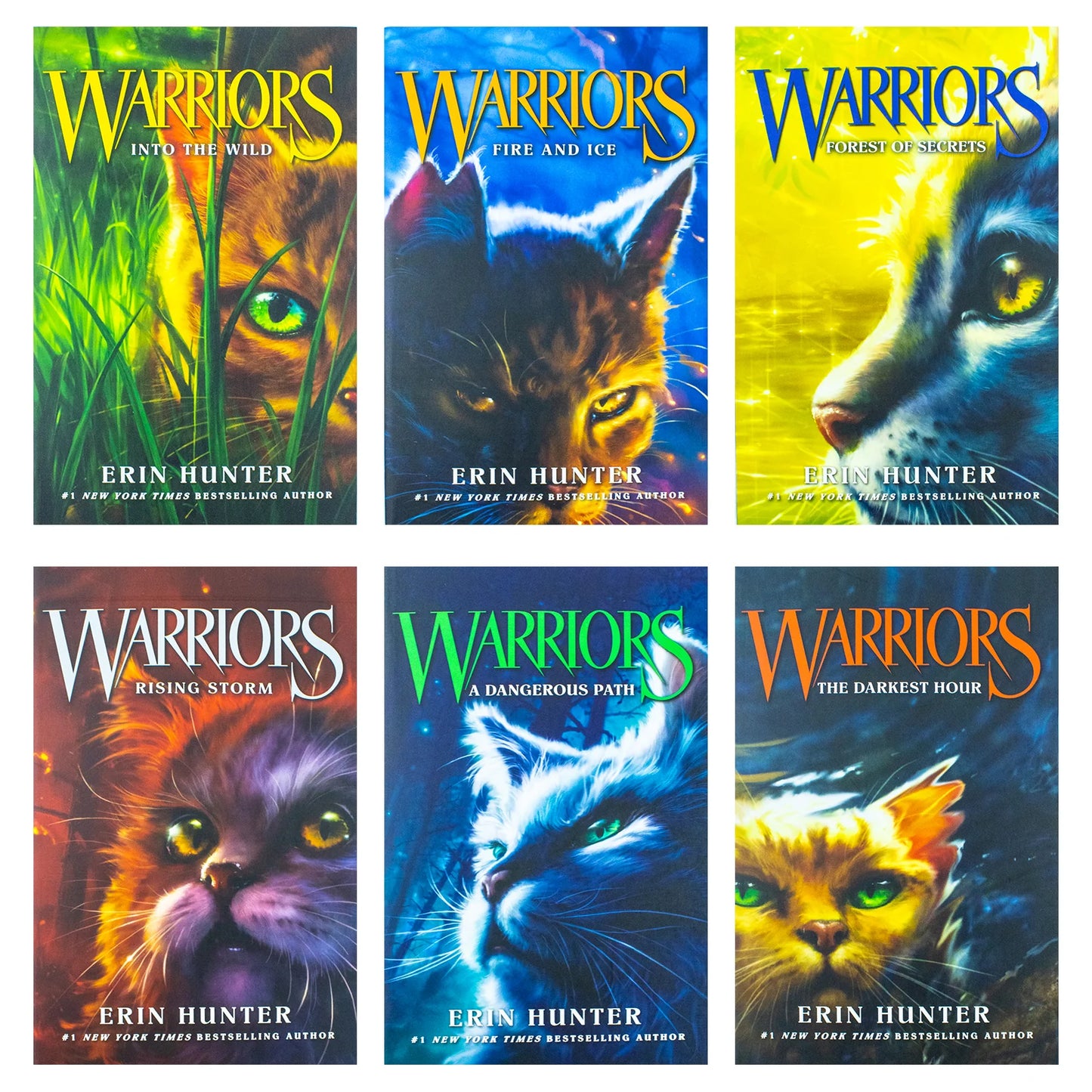 Warrior Cats Series 1 The Prophecies Begin 6 Book Collection Set - Erin Hunter - Paperback