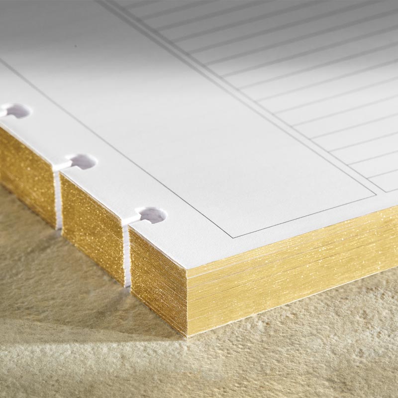 Circa Luxe Annotation Ruled Discbound Refill (100 sheets)