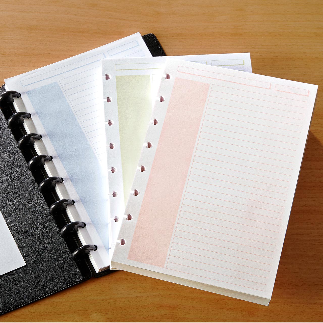 Circa Shaded Annotation Ruled Discbound Refill (100 sheets)