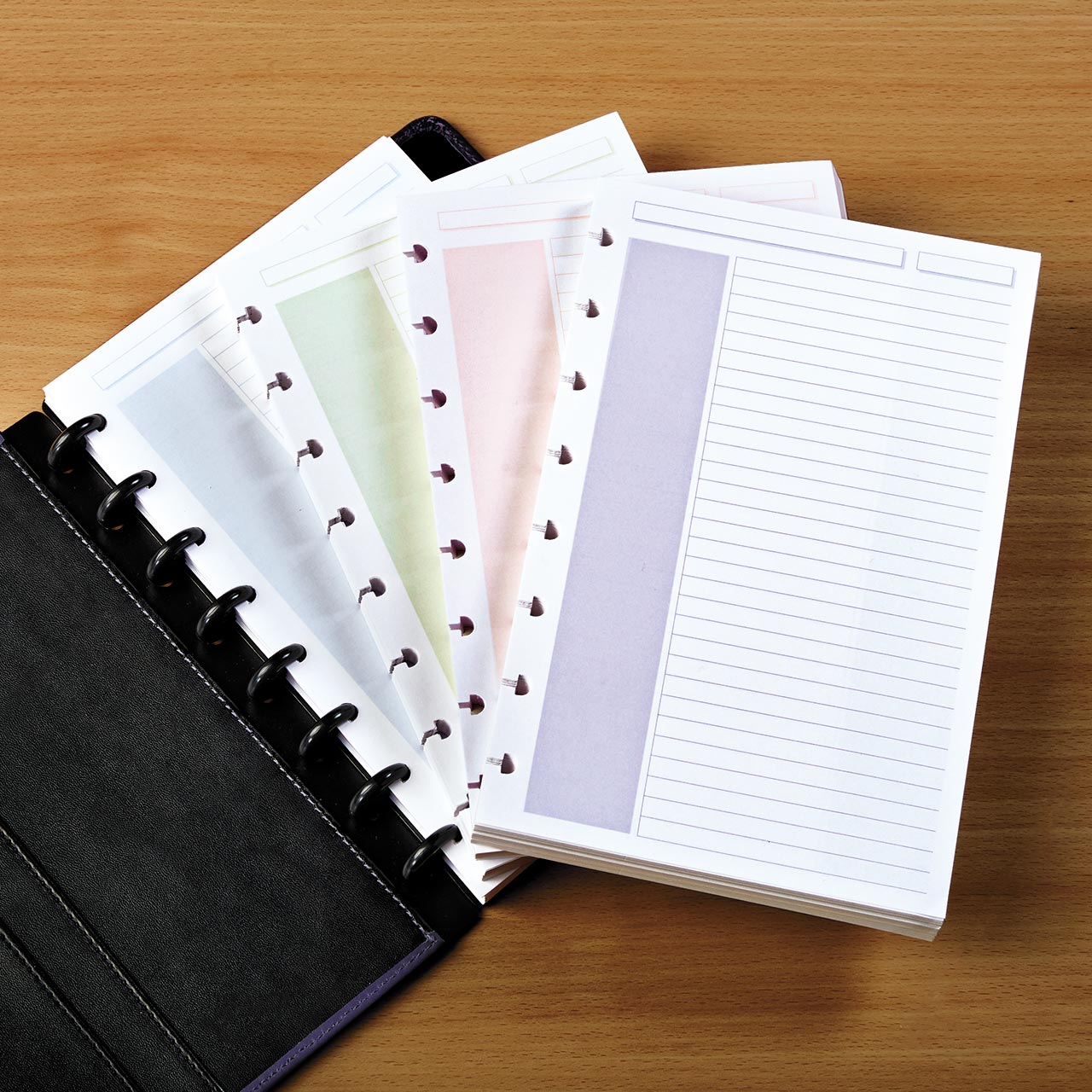 Circa Shaded Annotation Ruled Discbound Refill (100 sheets)